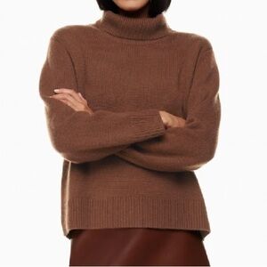 Aritzia Jara Cashmere Turtleneck